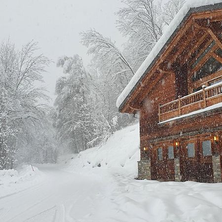 Chalet Entier 110M2 Avec Vue Et Sauna A 10 Min Des Pistes Sainte-Foy-Tarentaise Eksteriør billede